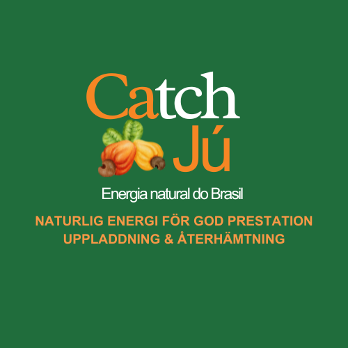 CatchJú.se